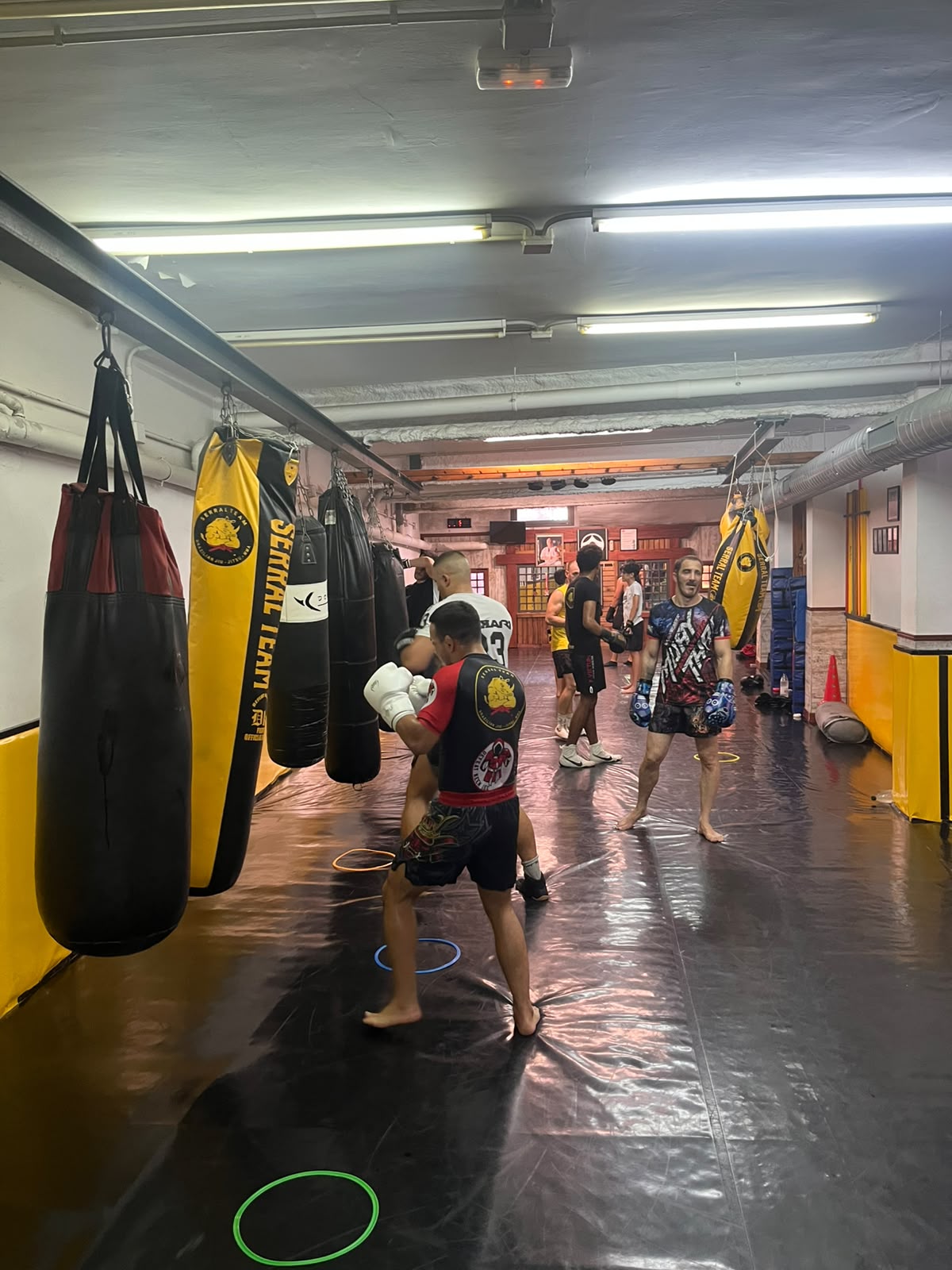 Boxeo